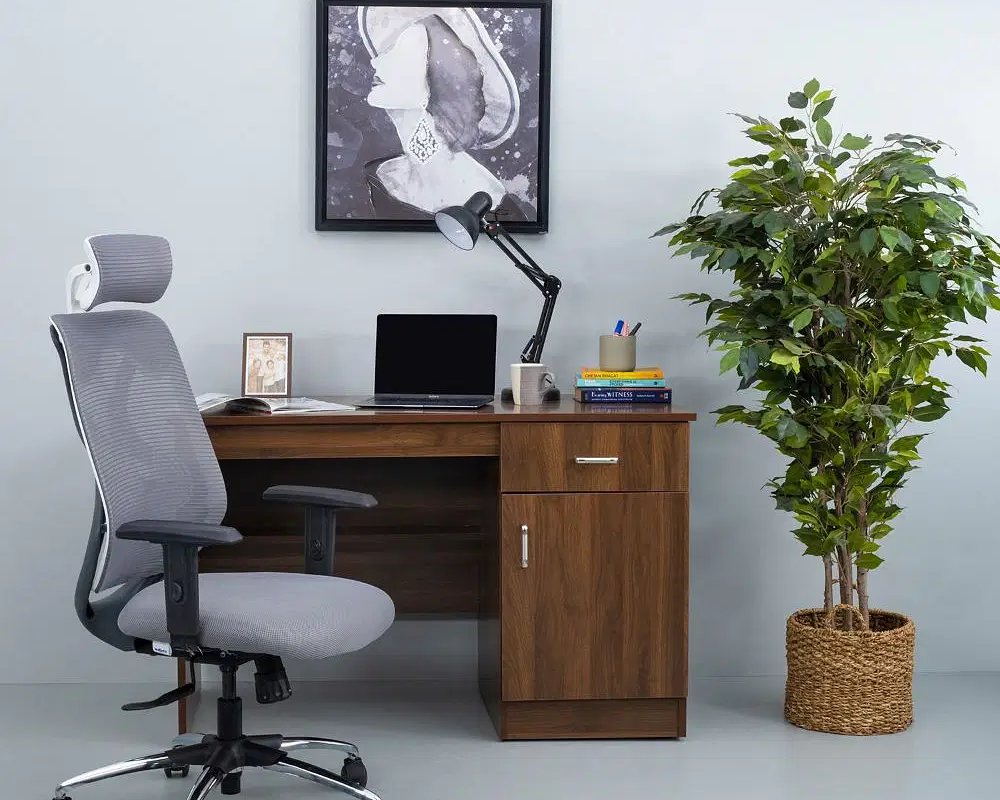 How to Choose the Right Ergonomic Chair